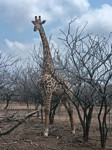 How Extremely Fortunate Are We to Live Here and Do What We Do!