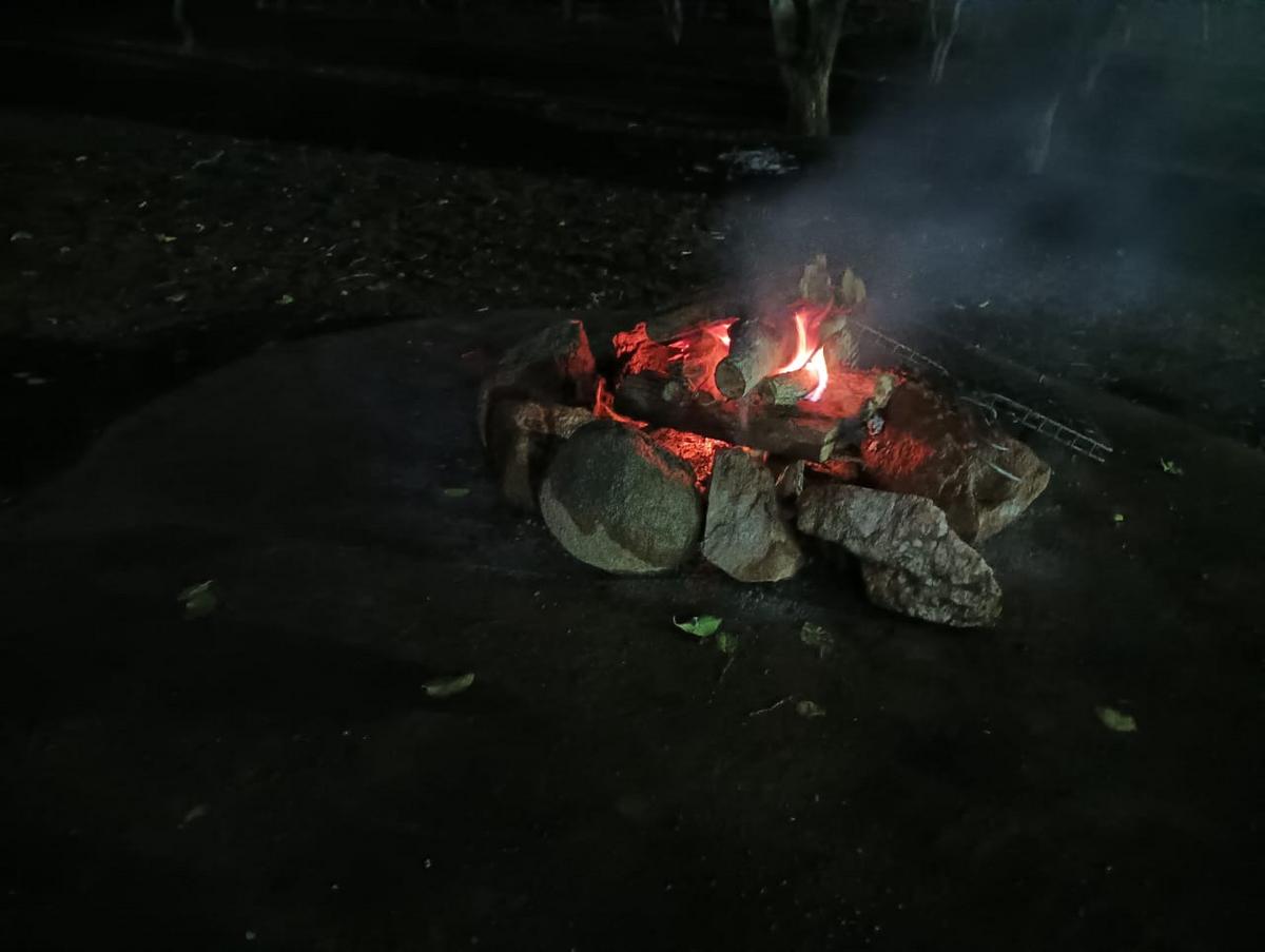 The Best Way to End a Day in the Kruger: Campfire Bush TV