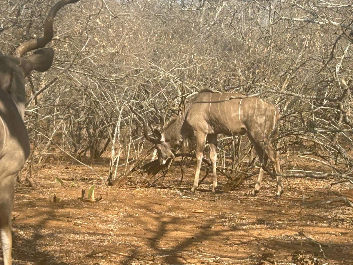 On Our Doorstep Today