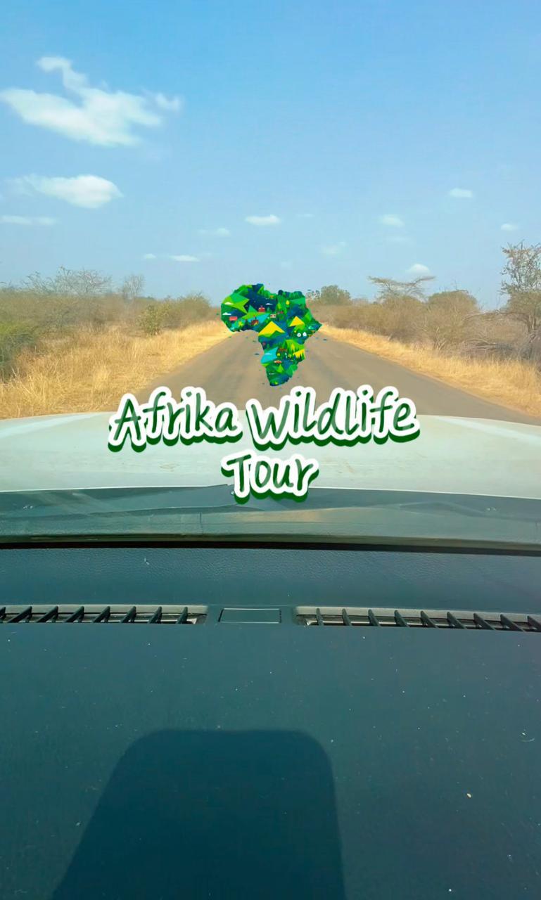 What an Incredible Time We Had with Ama-Zing African Safaris on Our First Ever Safari to South Africa’s Kruger National Park!